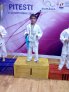 karate3